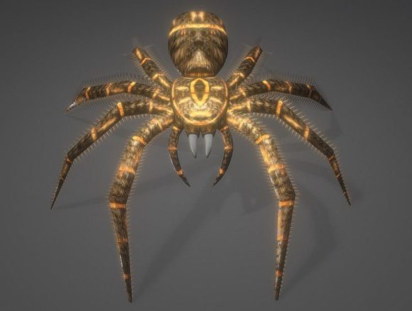  Animated Spider Free 3D Model