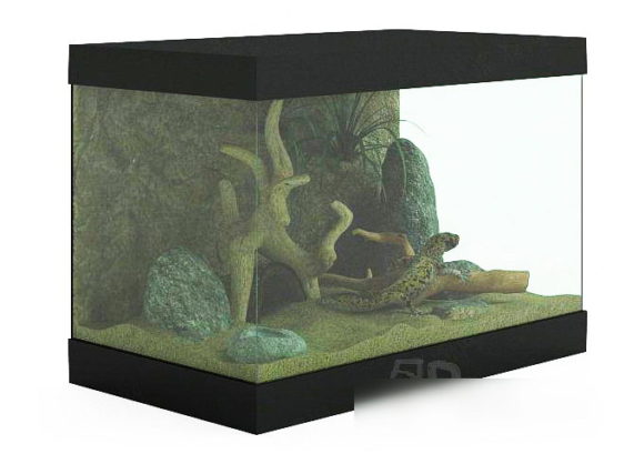 Aquarium Free 3D Model