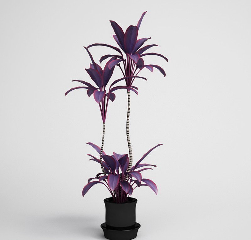Beautiful Flower with flower pot 3D Model