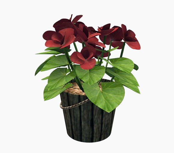Begonia Flower With Wooden Pot 3D Model