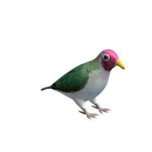 Bird 3D Model