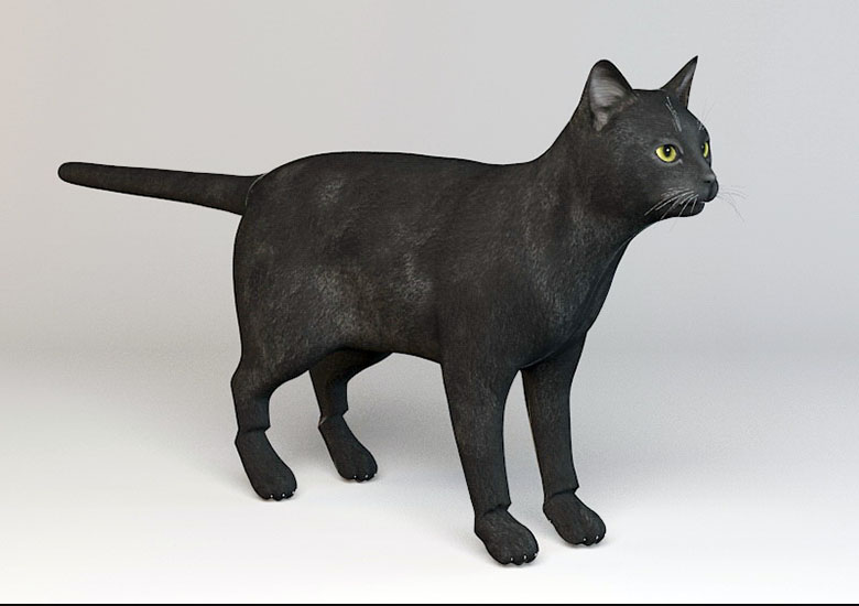 Realistic Black Cat Free 3D Model