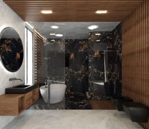 Black and Wooden Design 3D Bathroom Scene