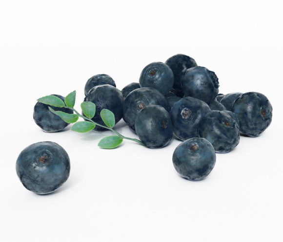 Blueberries 3D Model