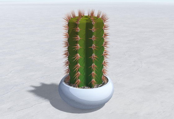 Cactus in Flower Pot 3D Model