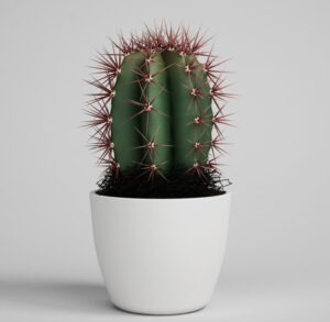 Cactus with flower pot 3D Model