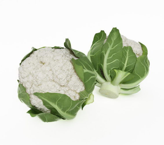 Cauliflower 3D Model