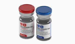 Covid 19 Vaccine 3D Model