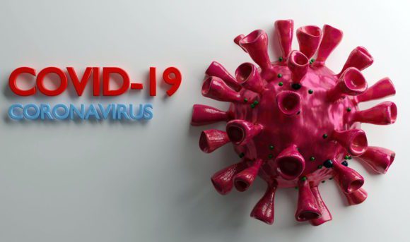 Covid-19 Virus 3D Model