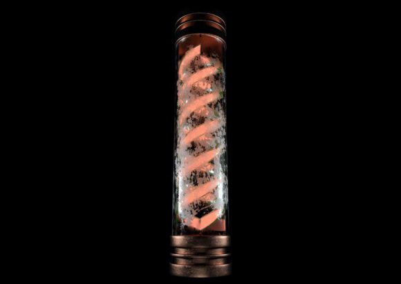 DNA Container 3D Model