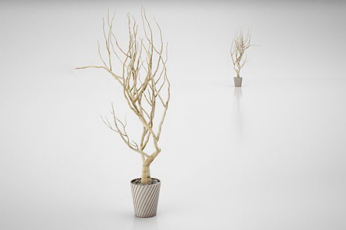 Decorative Tree 3D Model