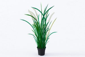 Feika Plant With Pot 3D Model