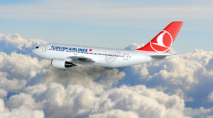 Free 3D Airbus A310 Model – Turkish Airlines