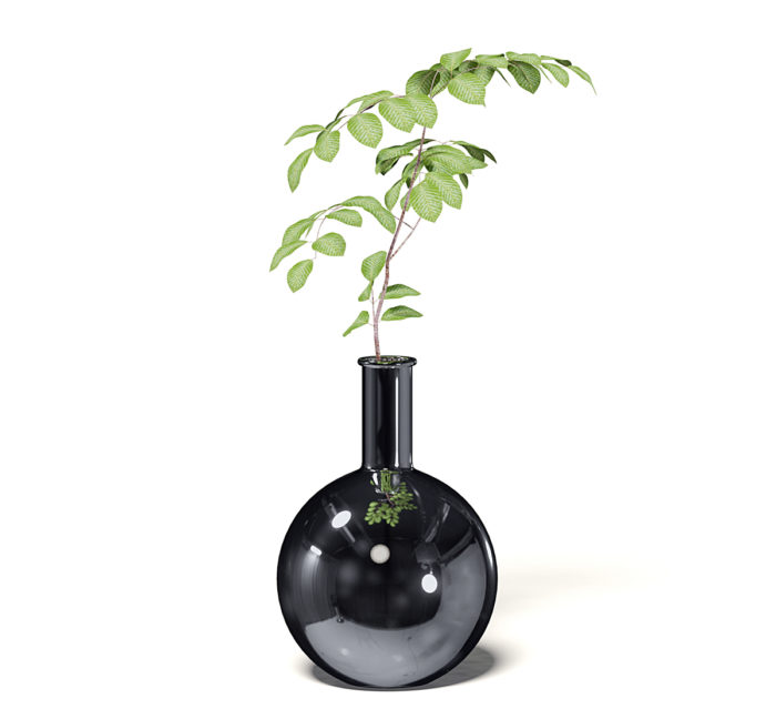 Free 3D Chrome Vase Model