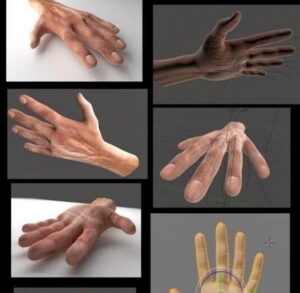 Free 3D Hands Model