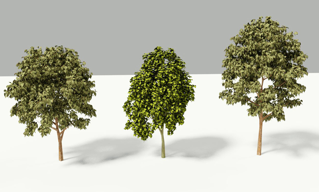 Free 3d Realistic Trees Model Free C4d Models