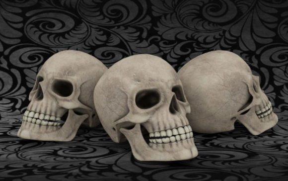 Free 3D Skull Model