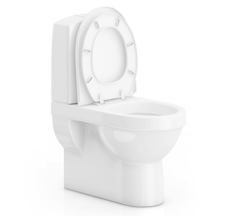 Free 3D Toilet Model Bathroom