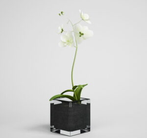 Free White Flower 3D Model