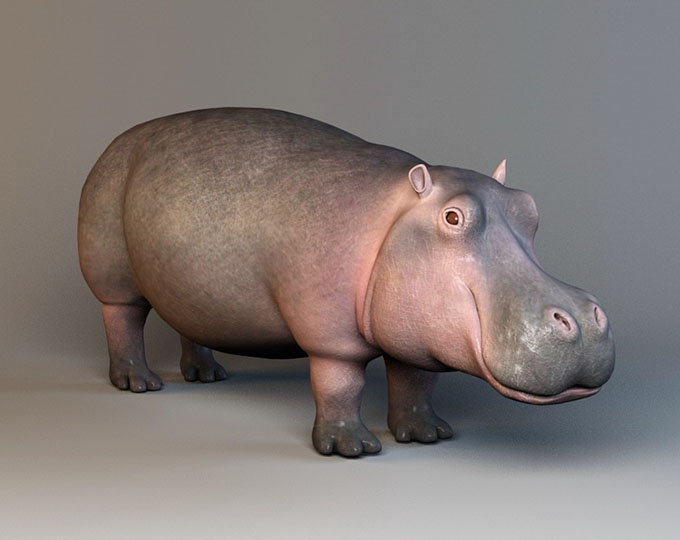 Hippopotamus Free 3D Model