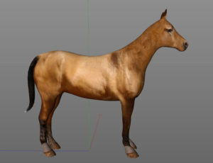 Horse Free 3D Model