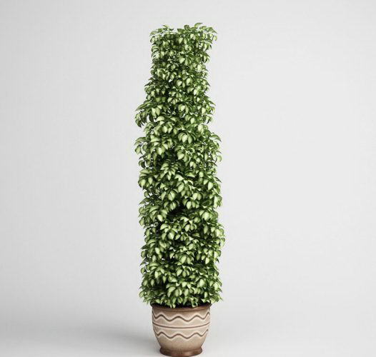 Ivy Flower With Flower Pot 3D Model