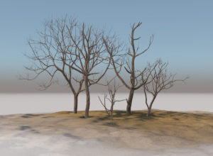 Old dry trees 3d Model