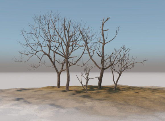 Old dry trees 3d Model