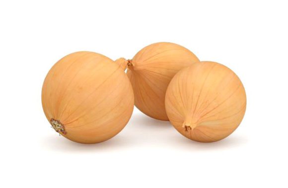 Onions Free 3D Model