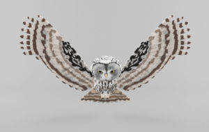 Owl Free 3D Model
