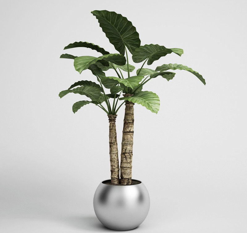 Palm Tree in Chrome Flower Pot 3D Model
