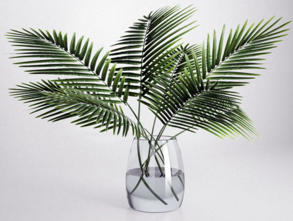 Palm with Glass Vase 3D Model