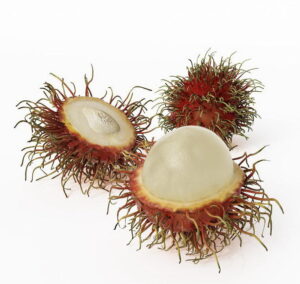 Rambutan 3D Model