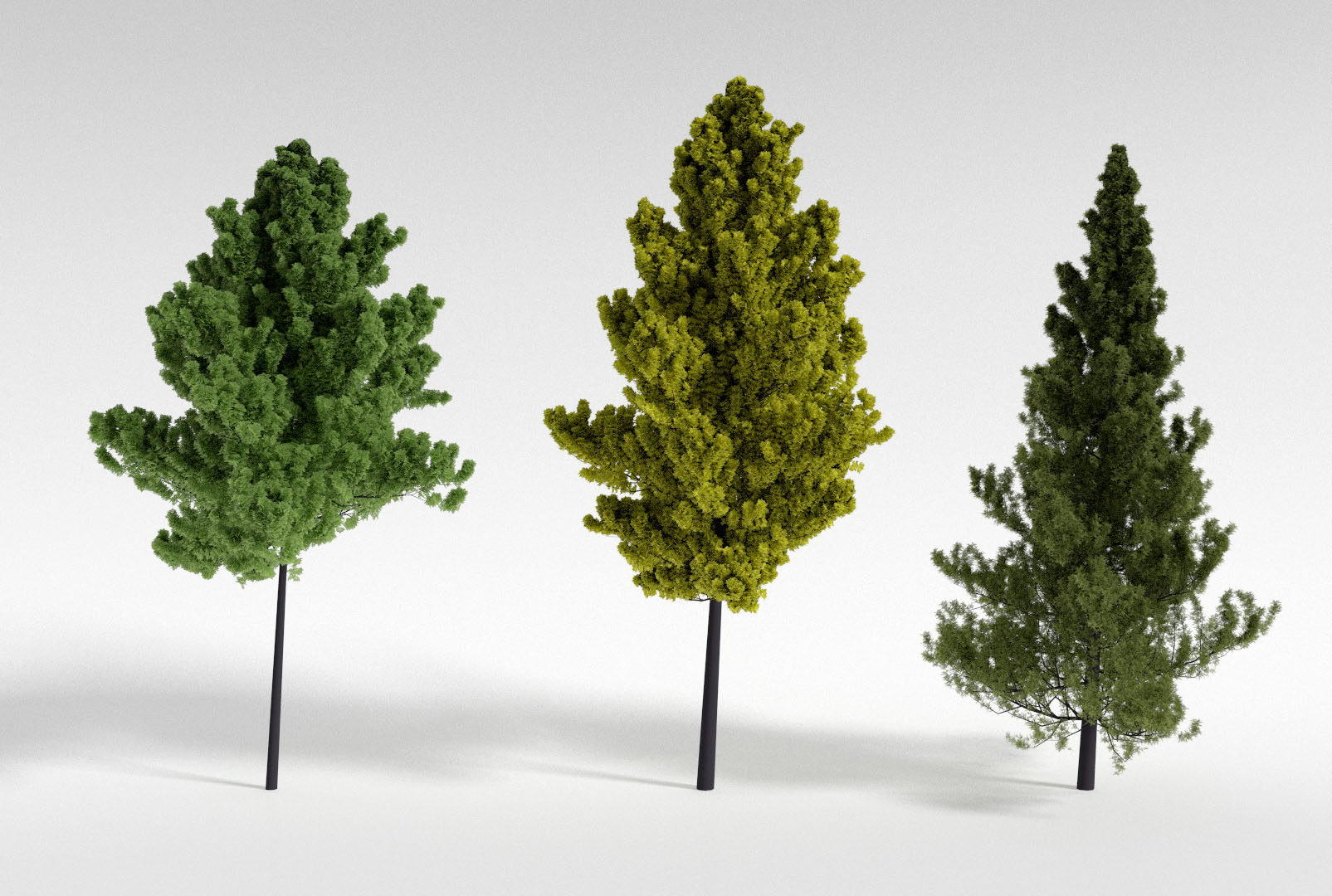 Realistic Trees Scene 3D Model