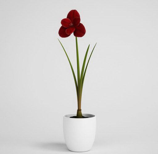 Red Flower in Flower Pot 3D Model
