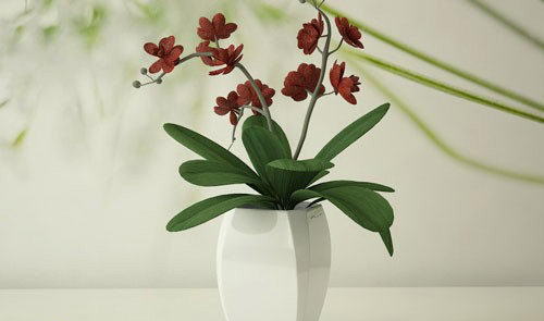 Red Petal With Flower Pot 3D Model