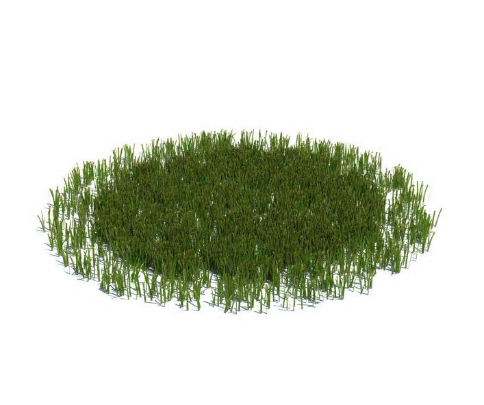 Round Grass 3D Model