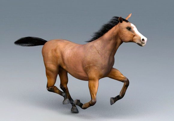 Running Horse 3D Model