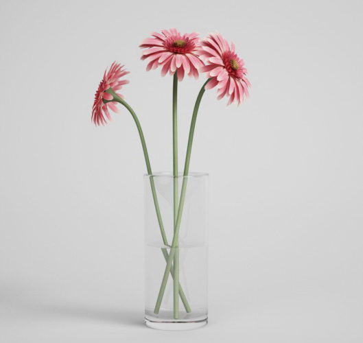 Three Daisies With Glass Vase 3D Model