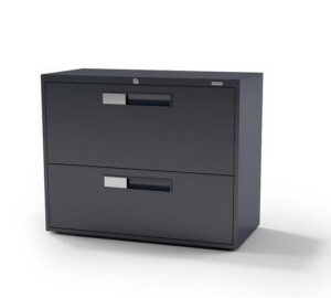 Two-Door Office Cabinet 3D Model