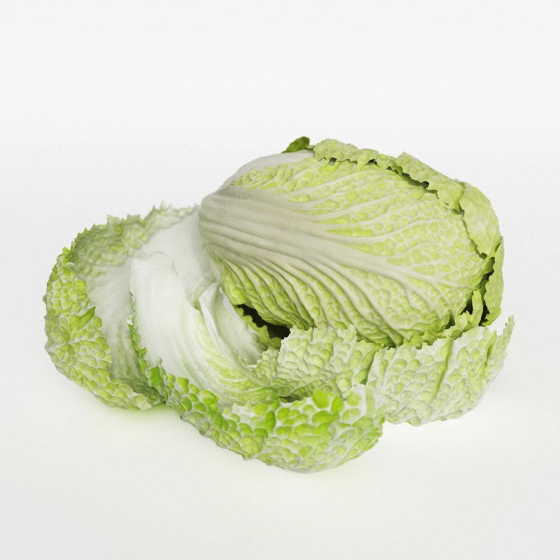 White Cabbage 3D Model