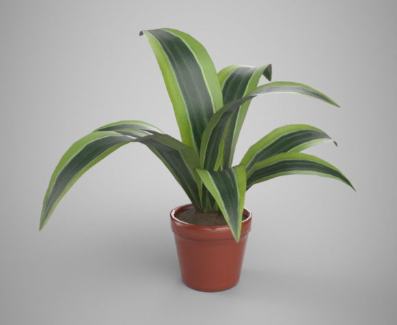Green Flower House Plant 3D Model