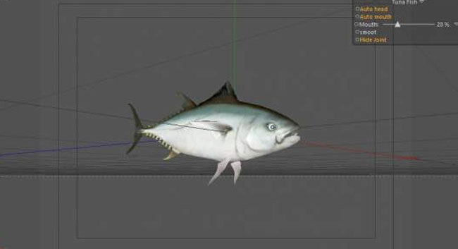 Tuna Fish 3D Model